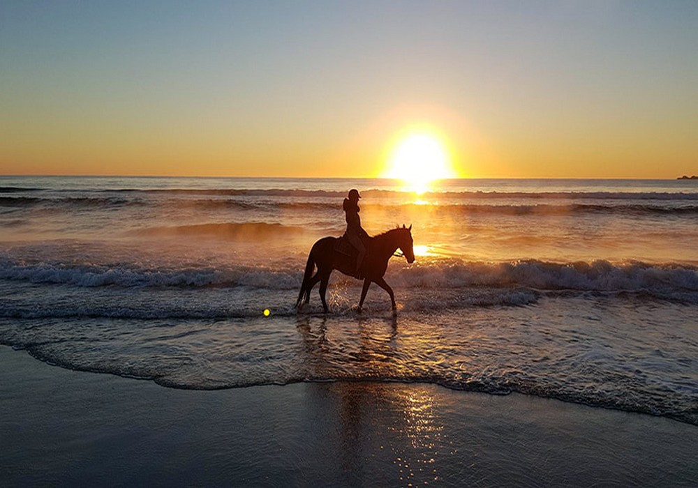 Horse Riding and Stables Villamartin