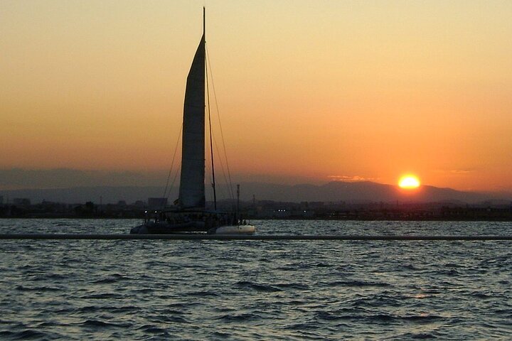 Brewery Tasting and Catamaran Cruise from In The Sun Holidays