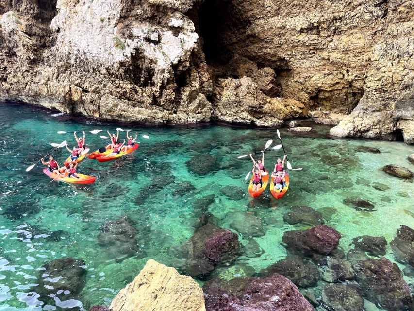 Kayak Tours & Snorkeling from In The Sun Holidays