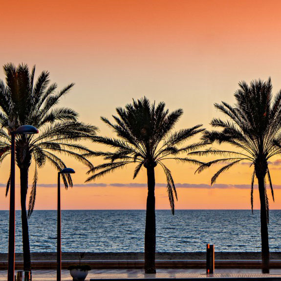 akilar banner 5 sunset promenade palm trees xs