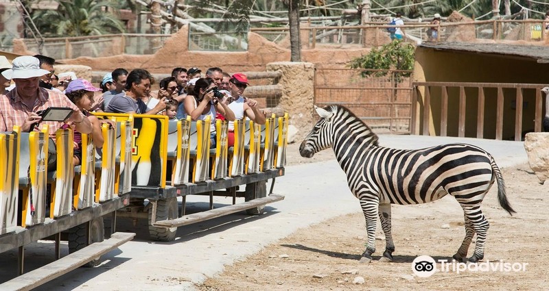 Rio Safari Elche 1